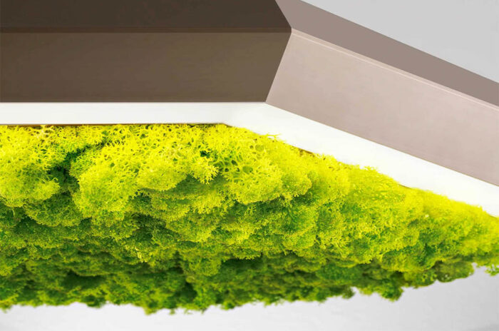 Светильник Exagon Silence Green by OLEV