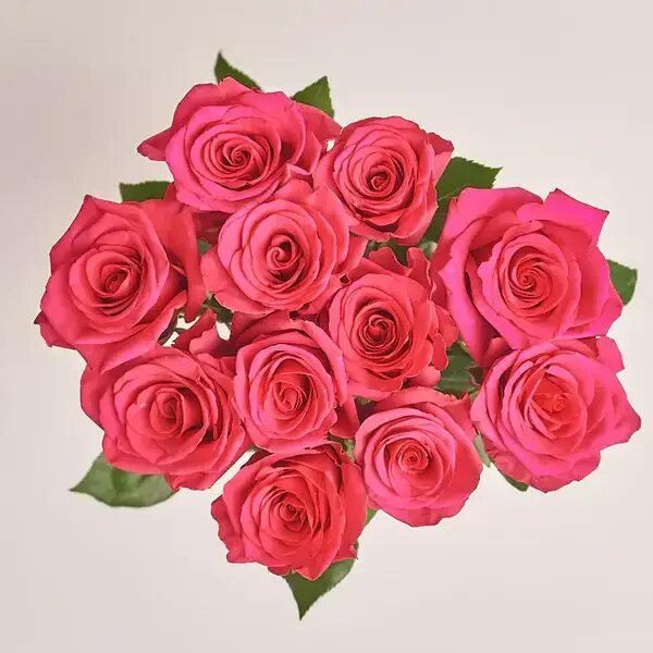   Малиновые розы на свидание с женой. AzaliaNow Мария Казённова