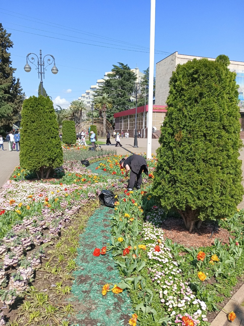 Посадка цветов 07.04.2025