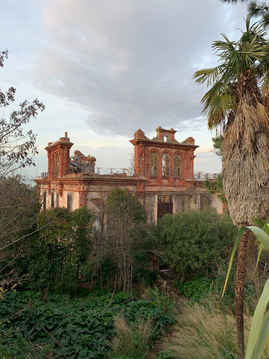 Двор поглотила зелень