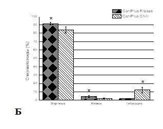 Сравнение влияния разных протоколов замораживания-оттаивания на жизнеспособность сперматозоидов эпидидимального семени хомячков Кэмпбелла (Б), после окрашивания SYBR Green I и PI. Достоверность отличий: *, P < 0.05 – сравнение между двумя криопротекторами.