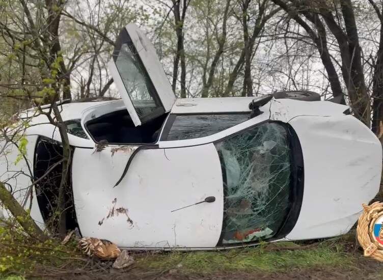    Фото: Госавтоинспекция по Ростовской области Редакция газеты "Наш край"