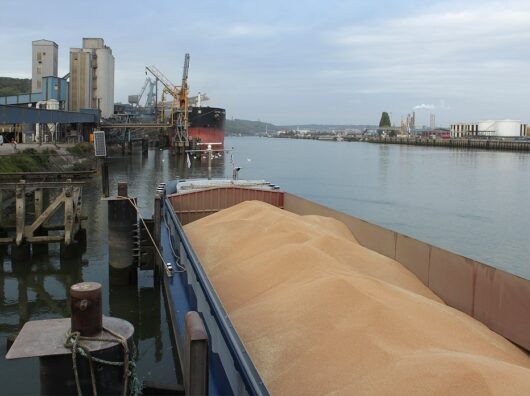    отгрузка зерна // фото: cfts.org.ua