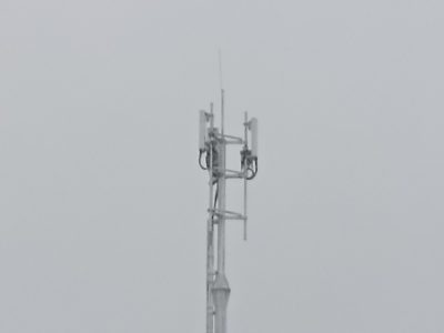    Фото: Светлана Прохорова