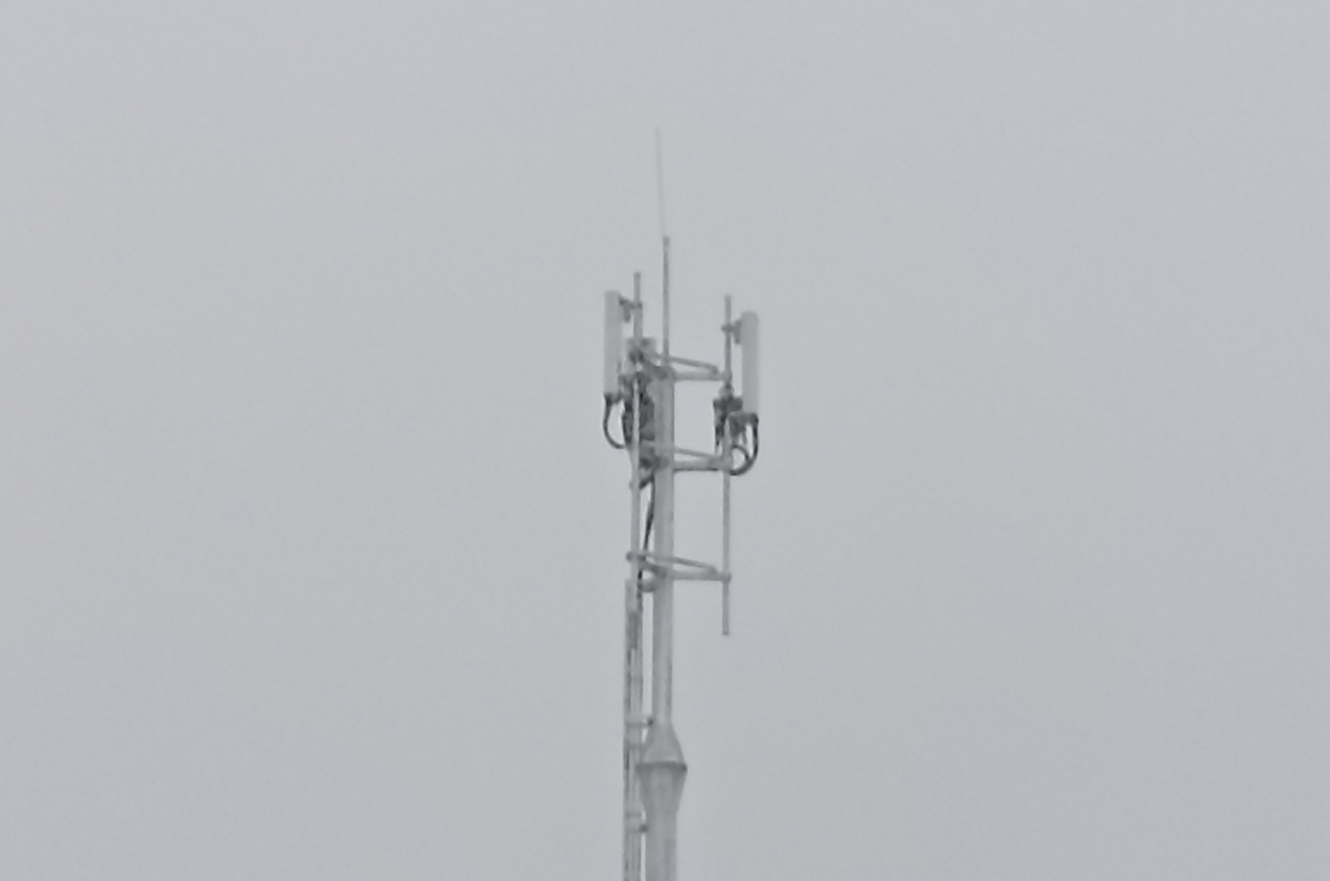    Фото: Светлана Прохорова