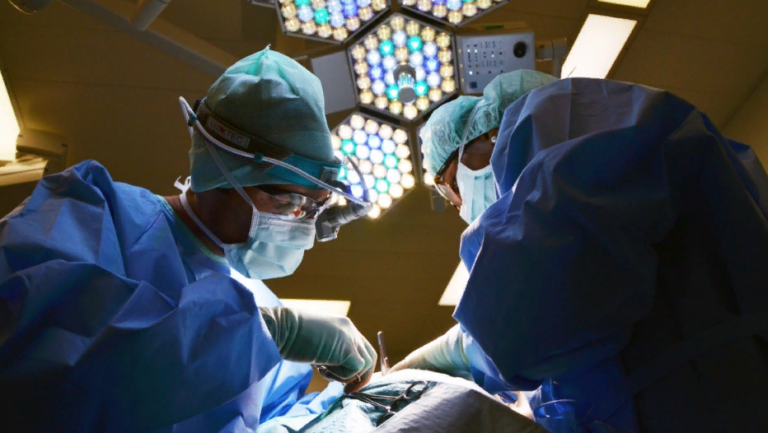    Фото: Pixabay / marionbrun Мария Черных