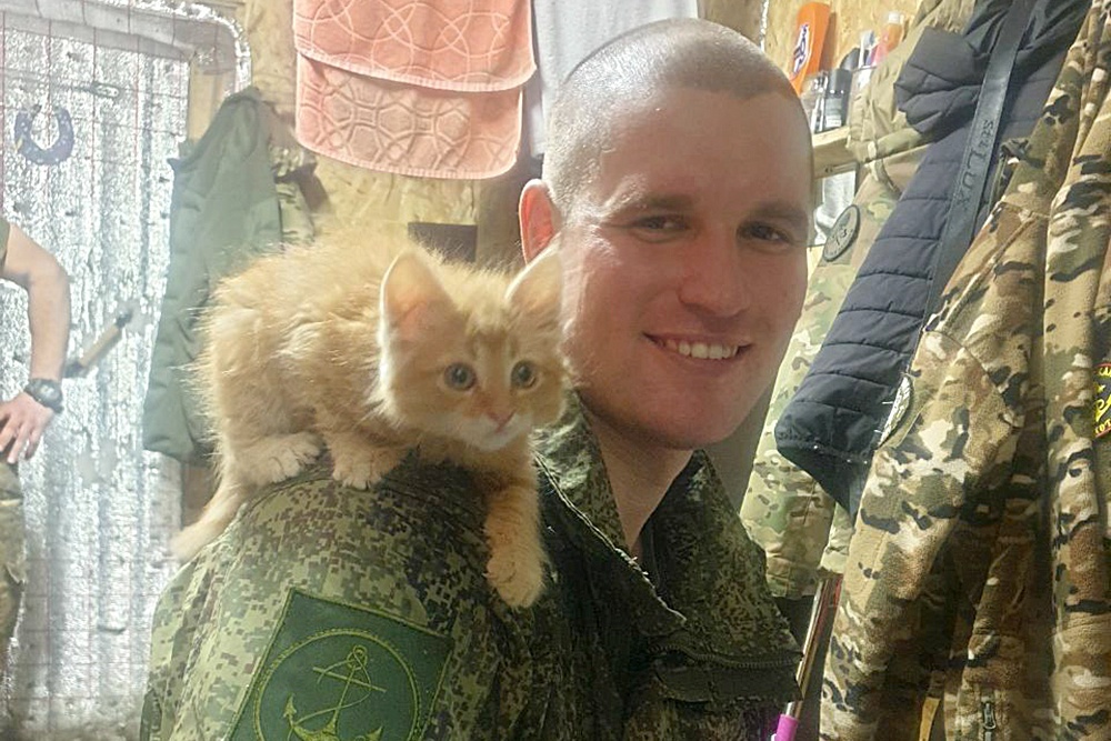    Ржавый и Голливуд. / Фото: Андрей Полынский