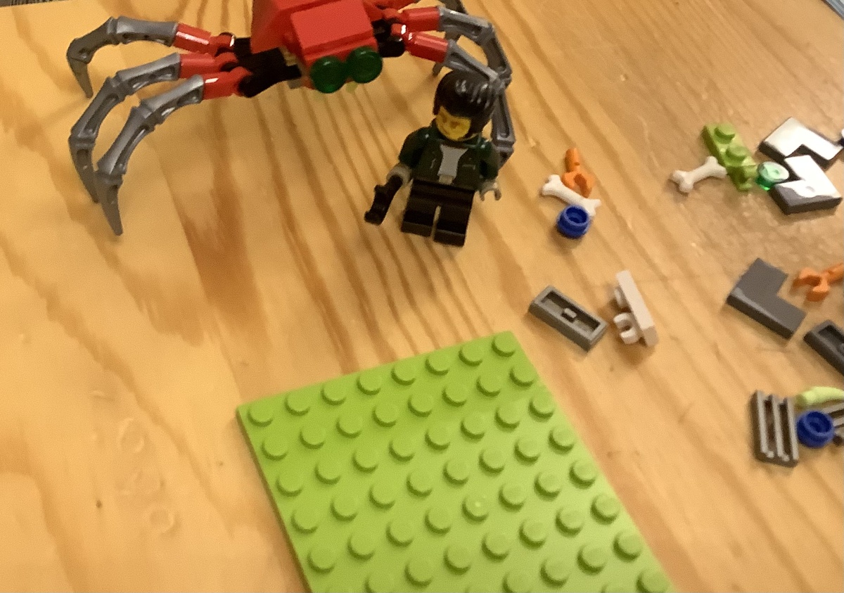 Сын любит конструкторы Lego City