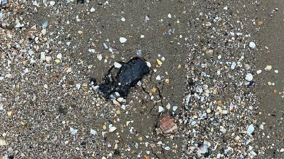 Фото: Оперативный штаб Краснодарского края