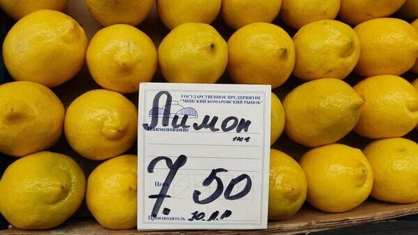    © Sputnik / Ольга Деменчук