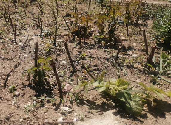 Фото: Оксана Котова