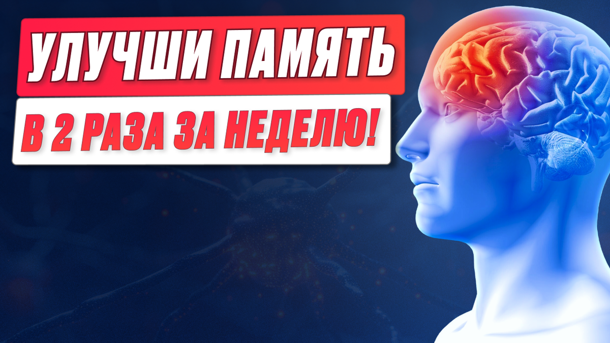 Это спасет ВАШУ память, РАБОТУ МОЗГА и защитит от ранней деменции!