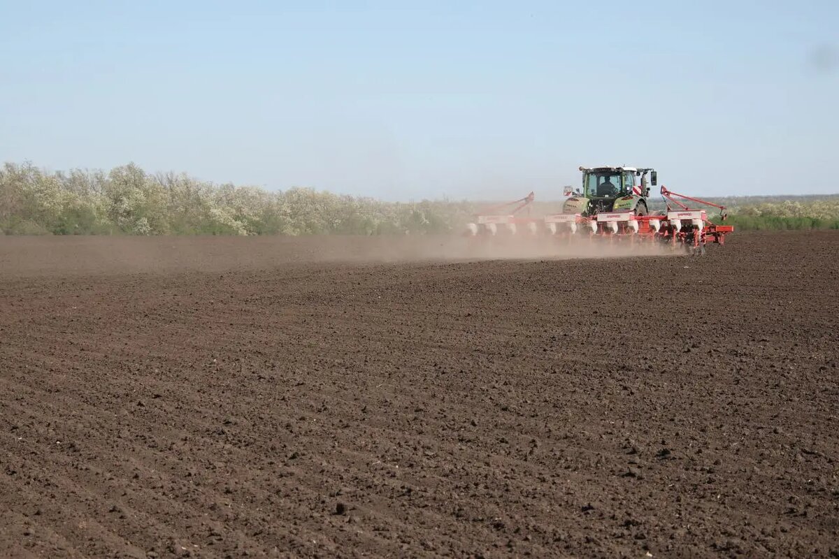     ©"Интерфакс". Федор Ларин