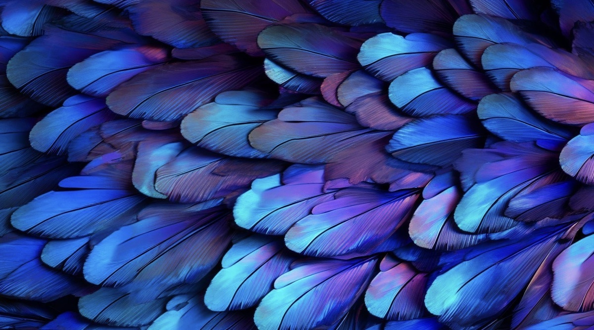 Источник: Pinterest 