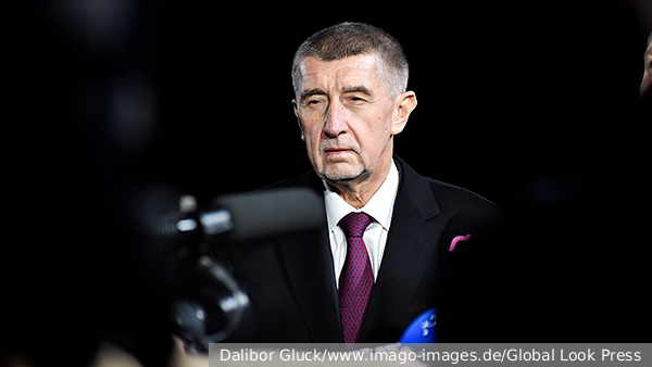     Фото: Dalibor Gluck/www.imago-images.de/Global Look Press   
 Текст: Вера Басилая