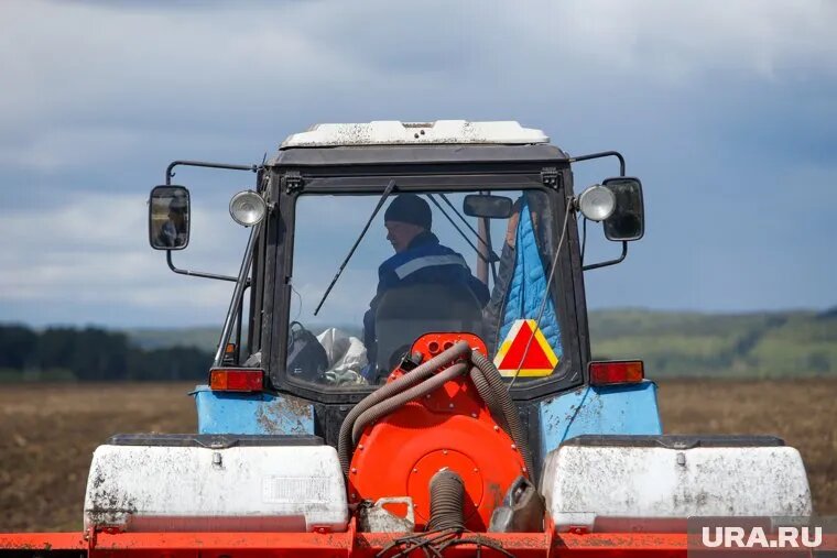Мужчина погиб, выполняя производственные работы. Фото: Эдуард Корниенко © URA.RU