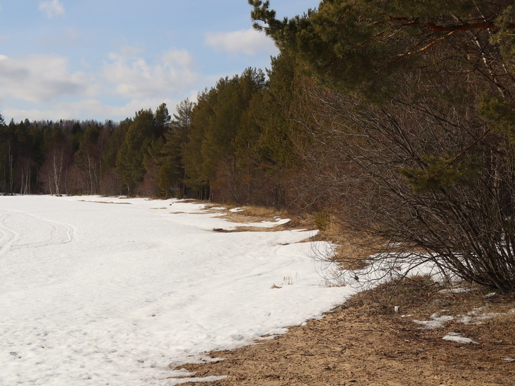   Максим Берштейн