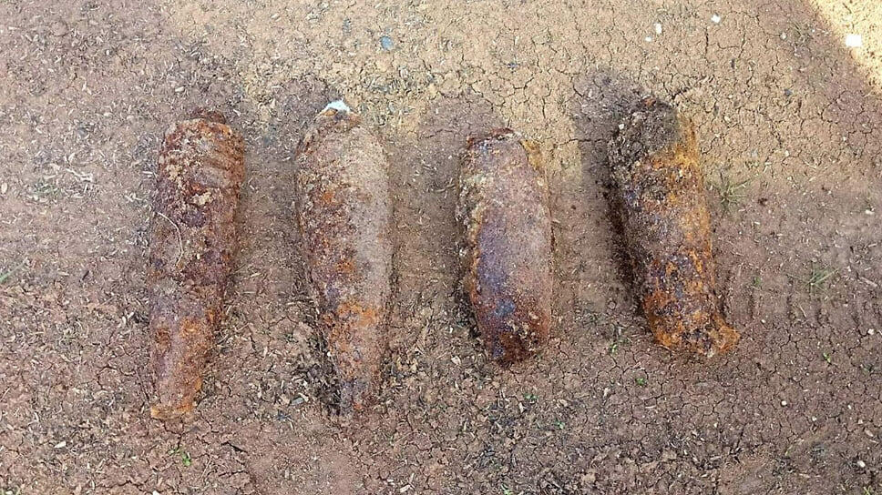 Фото: пресс-служба Росгвардии Краснодарского края