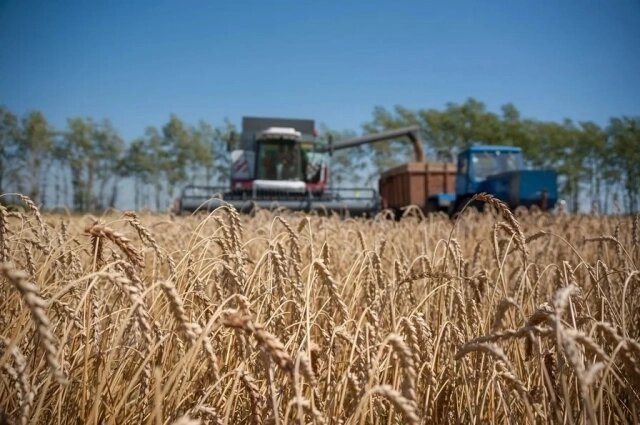    Сельскохозяйственные работы на Куликовом поле. Фото: Из личного архивa/ Роман Солопов