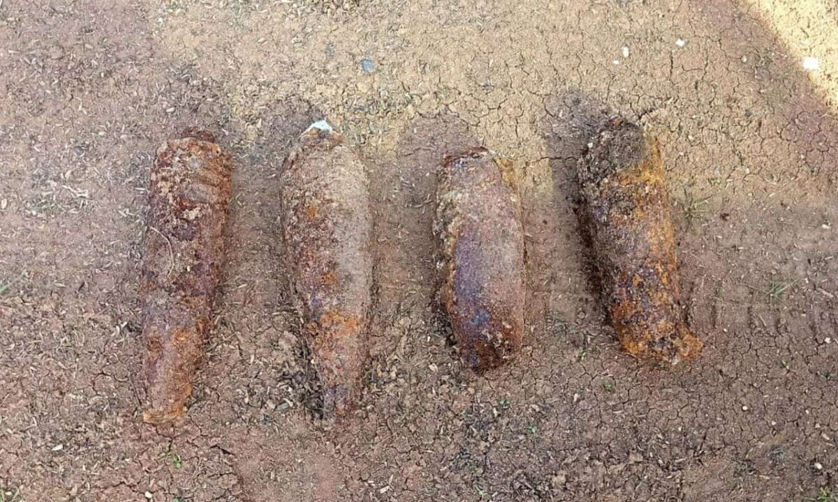    Фото t.me/rosgvard_krasnodar