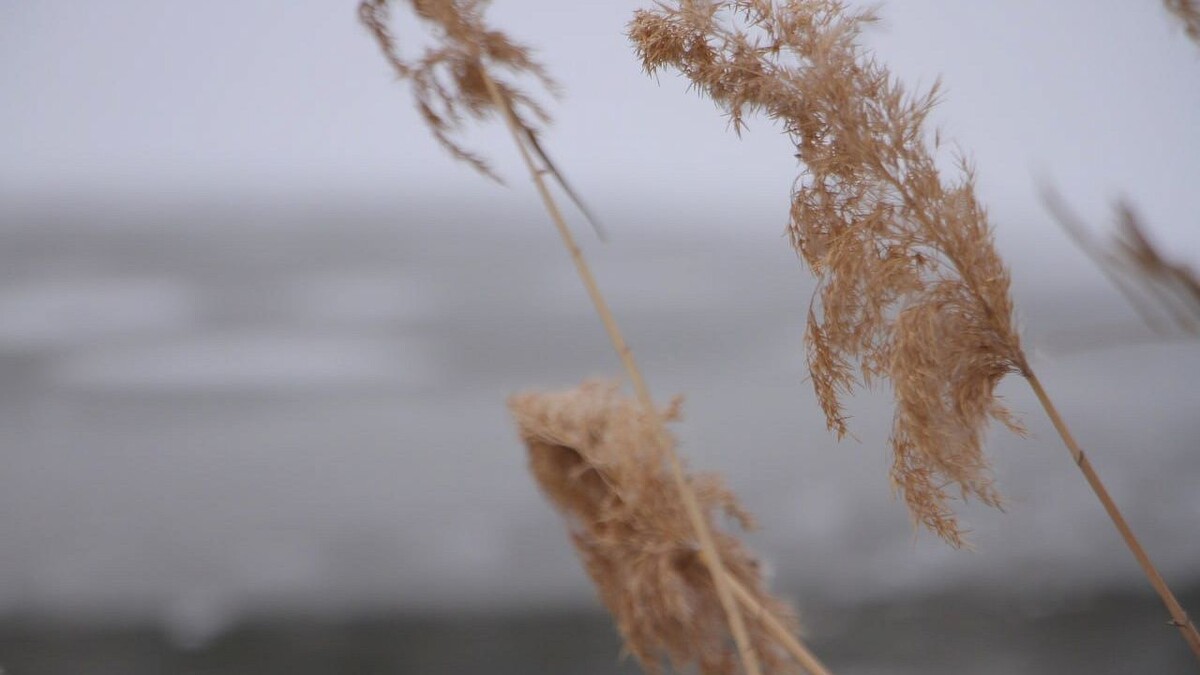    Фото: телеканал «Краснодар»