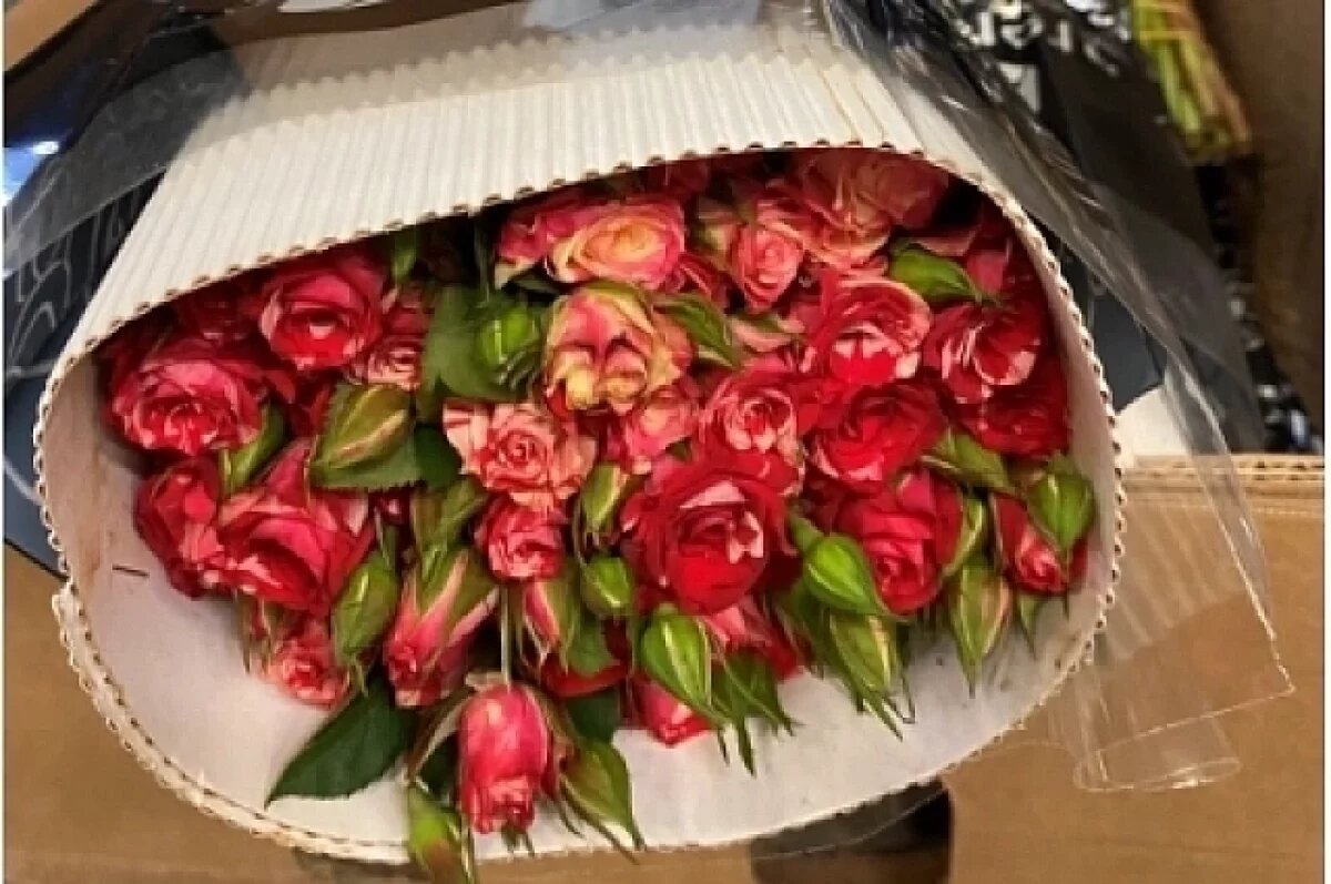    Зараженные розы, поступившие из Латвии, уничтожили на Урале