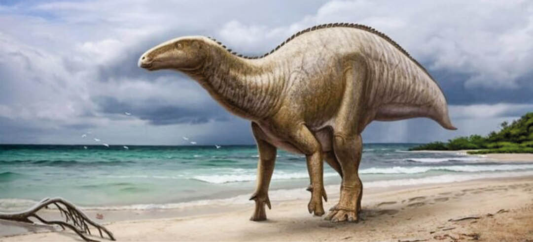 Фото: Telegram-канал «Окаменелости 20 Крымская версия»