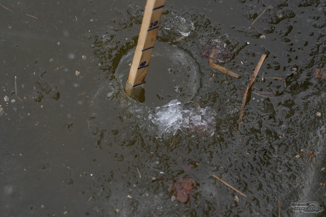    Фото: Лидия Аникина © ИА «Уральский меридиан»