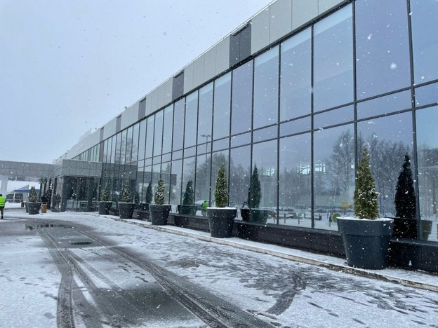    В Нововятске на набережной высадили сосны