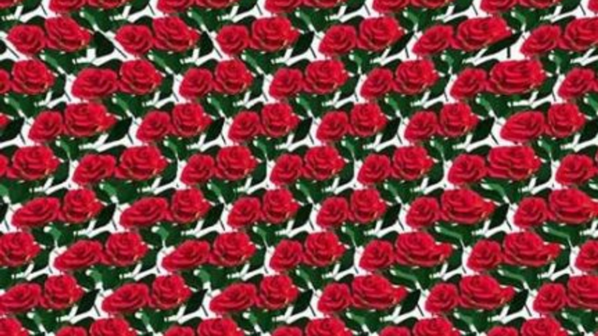 А это моя любимая картинка "Сердце" оно здесь достаточно большое, висит прямо по середине и сделано из роз. Оно для вас, мои дорогие читатели.