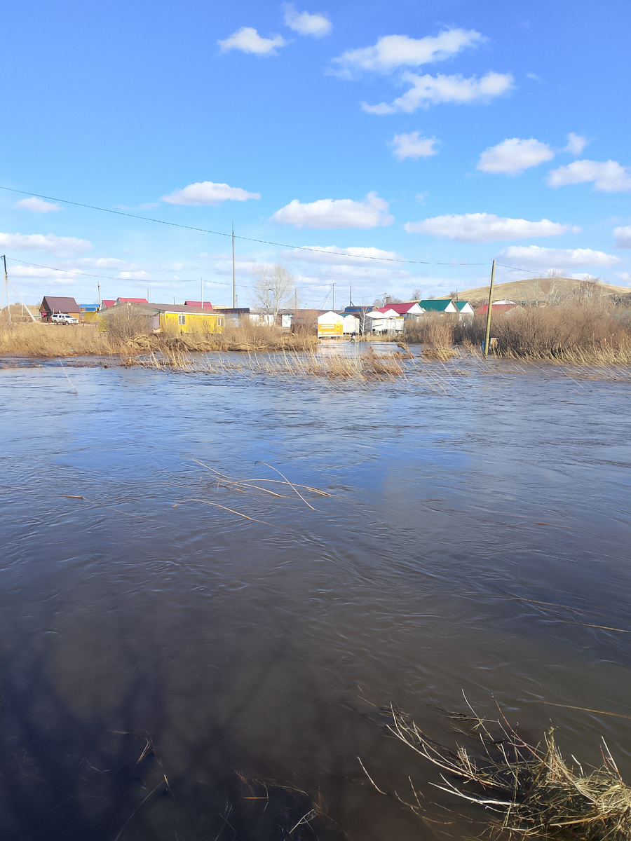 Разлив караганки не проехать к лагерю. 