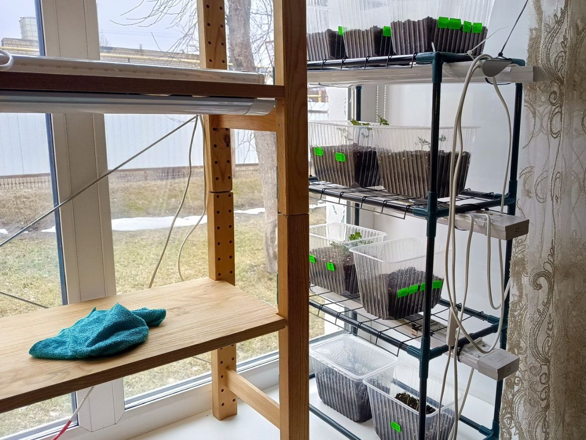 Второй подоконник пустовал. Было..