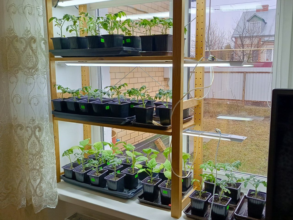 Ну теперь никому не тесно). Стало.