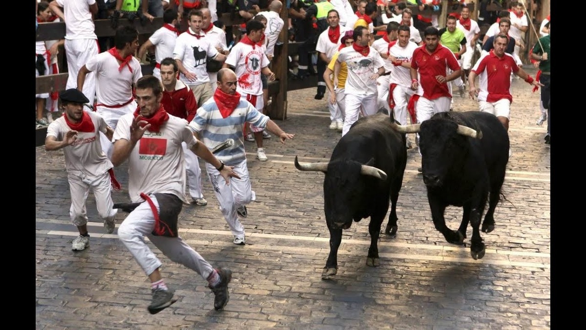 Бег с быками