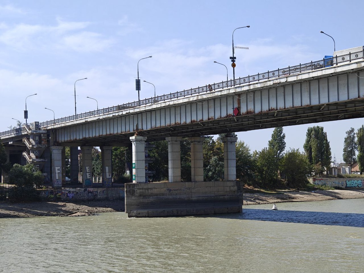    Фото: Юрий Серебренников/BFM Кубань