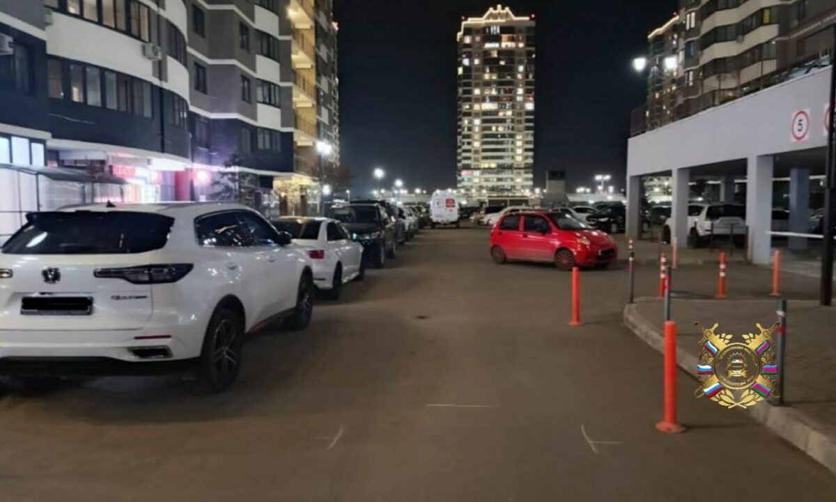    Фото t.me/gibdd123region