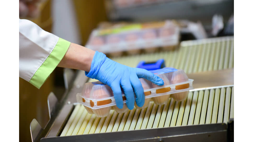 Фото: Влад Некрасов / Коммерсантъ