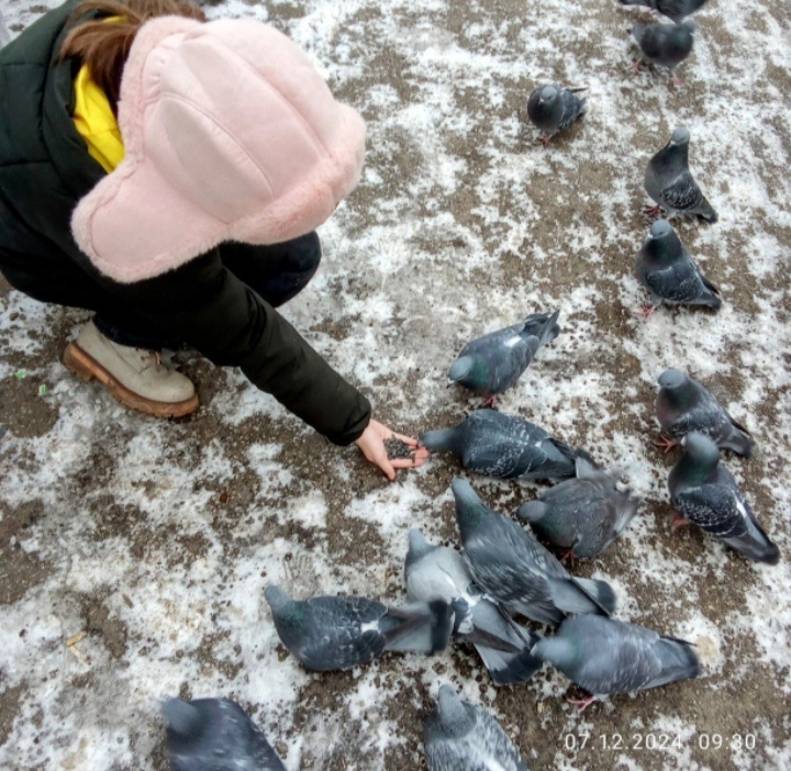 Дочка Соня и голуби.