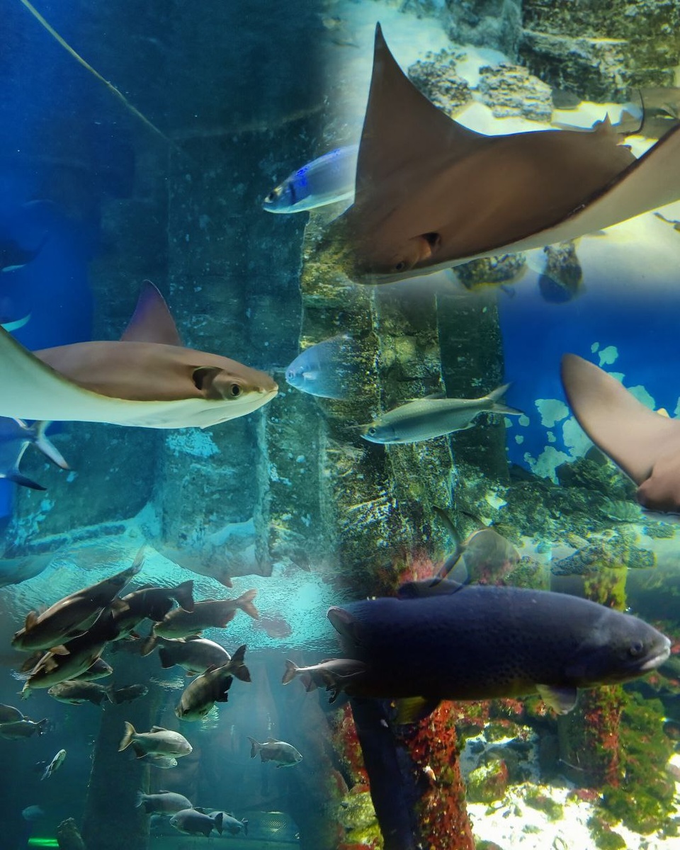 Завораживающая красота