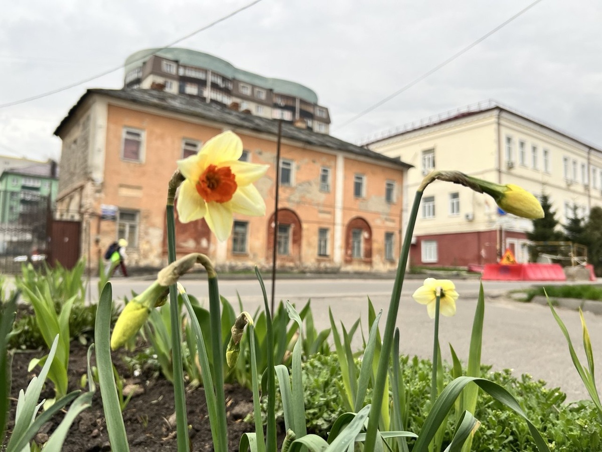    Апрель нечаянно нагрянет: неапрельские погодные условия в Курске