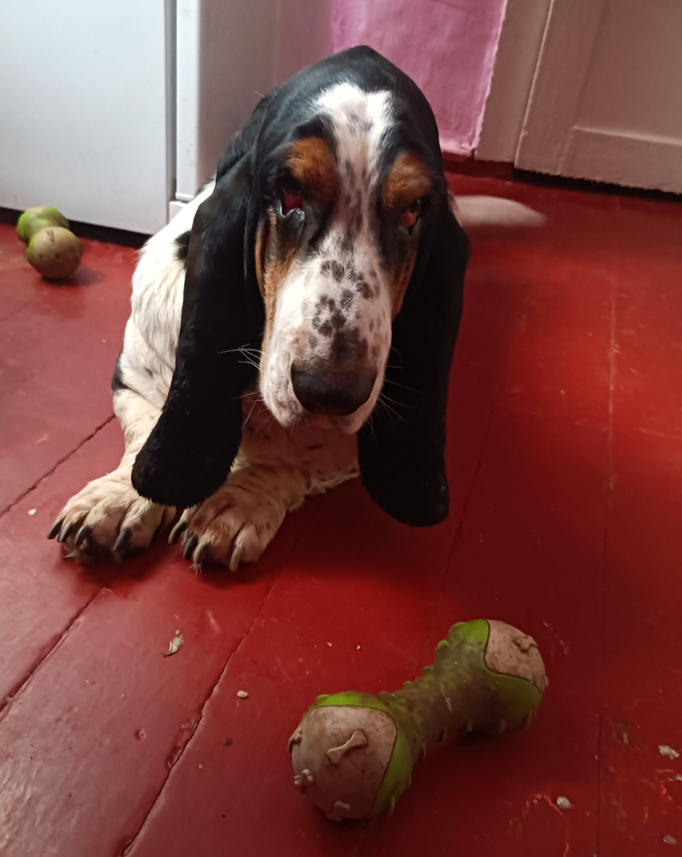 Пупсик  у нас спортивный пацан)))