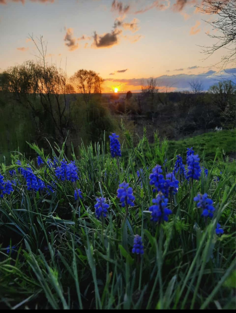 Автор А. Закопкина