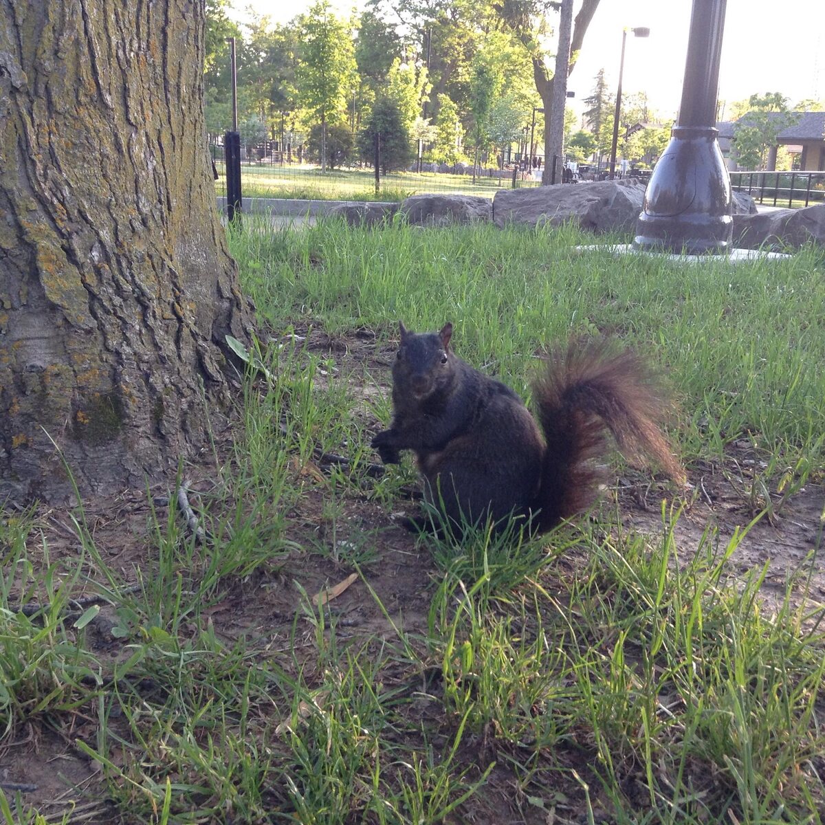 Фото из личного архива