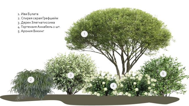 Проект композиции