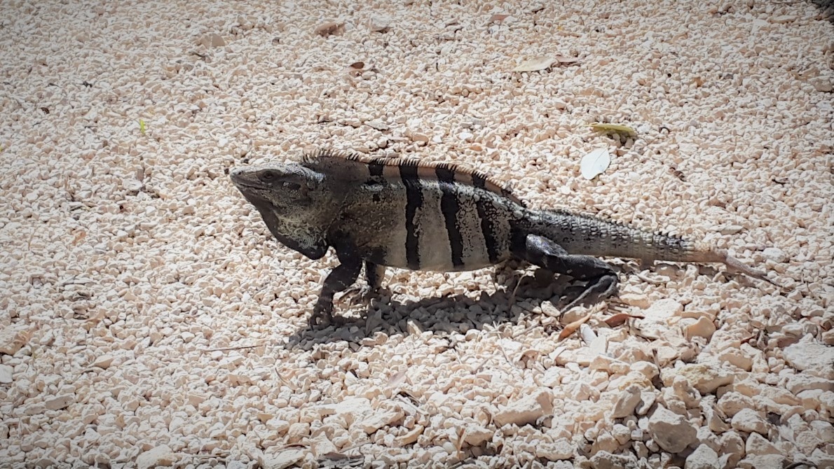 Фото из собственного архива