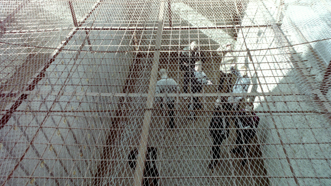    Фото:Victor Lisitsyn/Globallookpress