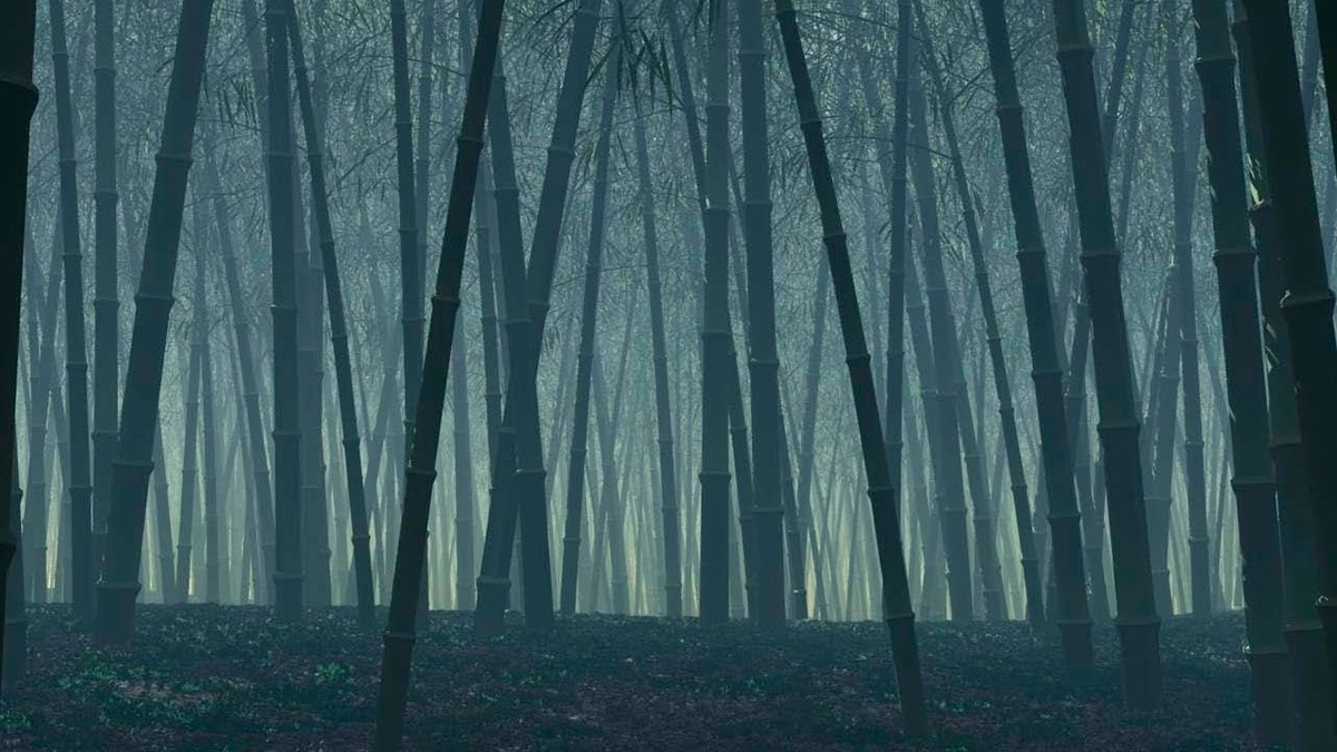    Тайна Лощины Чёрного Бамбука куда пропадают люди и самолёты