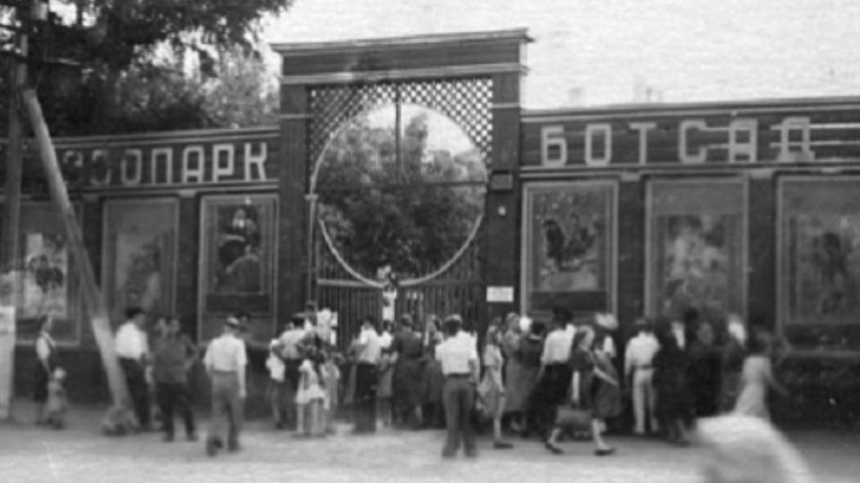 Война и зоопарк: где приютили зверей из блокадного Ленинграда