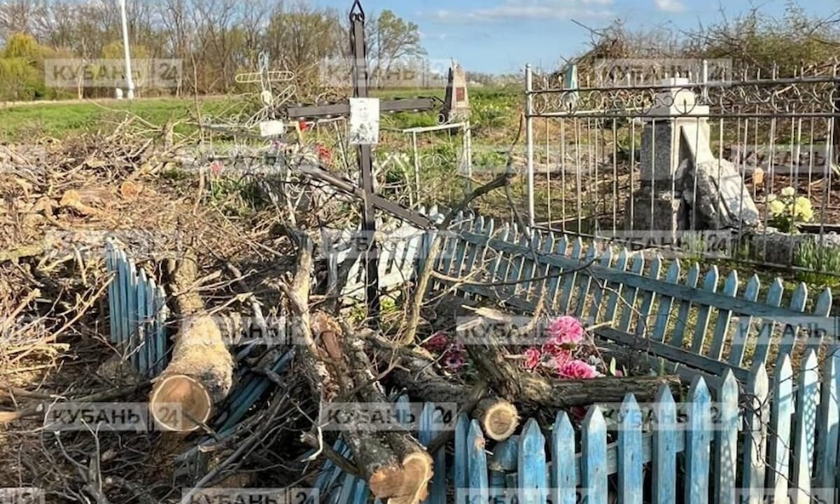 Фото t.me/kuban24