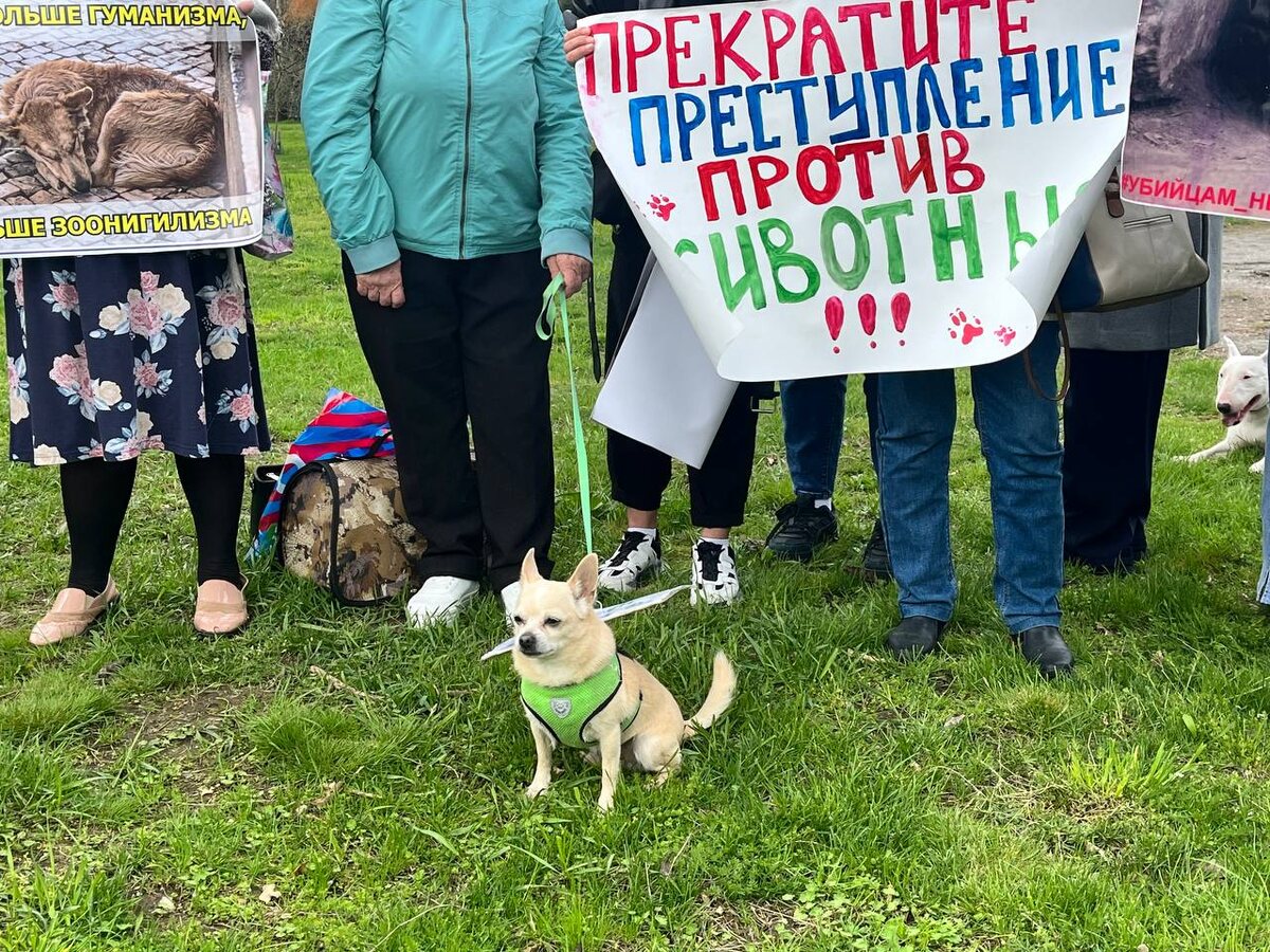 Фото: Утренний Юг